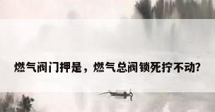 燃气阀门押是，燃气总阀锁死拧不动？