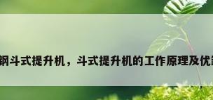 不锈钢斗式提升机，斗式提升机的工作原理及优缺点？
