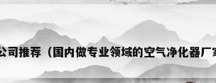空气净化公司推荐（国内做专业领域的空气净化器厂家有哪些?）