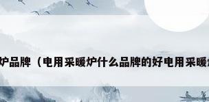 智能电采暖炉品牌（电用采暖炉什么品牌的好电用采暖炉怎么安装）