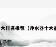 世界净水器十大排名推荐（净水器十大品牌排名介绍）