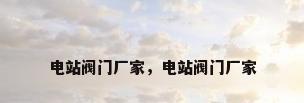 电站阀门厂家，电站阀门厂家