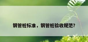 钢管桩标准，钢管桩验收规范？