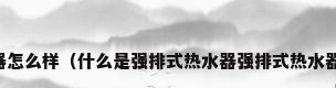 强排式热水器怎么样（什么是强排式热水器强排式热水器价格及原理）