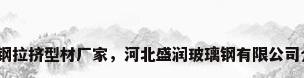 玻璃钢拉挤型材厂家，河北盛润玻璃钢有限公司介绍？