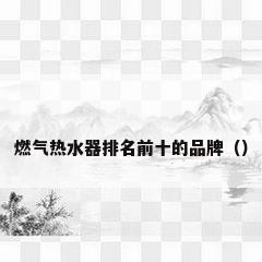 燃气热水器排名前十的品牌（）