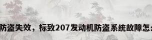 发动机防盗失效，标致207发动机防盗系统故障怎么解决？