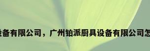 厨具设备有限公司，广州铂派厨具设备有限公司怎么样？