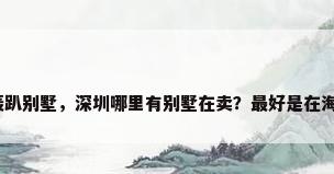 深圳轰趴别墅，深圳哪里有别墅在卖？最好是在海边的？