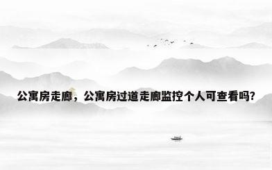 公寓房走廊，公寓房过道走廊监控个人可查看吗？