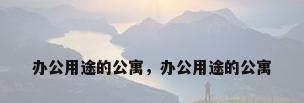 办公用途的公寓，办公用途的公寓