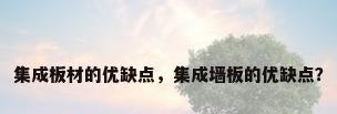 集成板材的优缺点，集成墙板的优缺点？