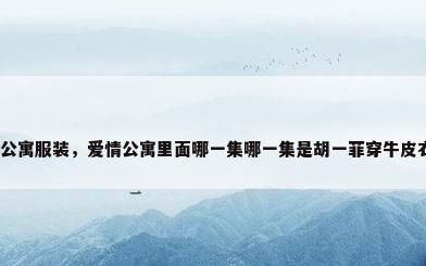 爱情公寓服装，爱情公寓里面哪一集哪一集是胡一菲穿牛皮衣服？