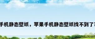 手机静态壁纸，苹果手机静态壁纸找不到了？