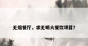 无烟餐厅，求无明火餐饮项目？