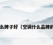 买空调什么牌子好（空调什么品牌的比较好?）