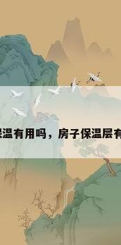 外墙保温有用吗，房子保温层有用吗？