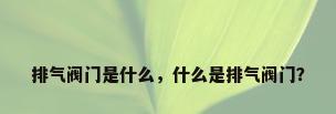排气阀门是什么，什么是排气阀门？