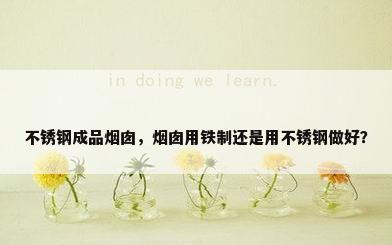 不锈钢成品烟囱，烟囱用铁制还是用不锈钢做好？