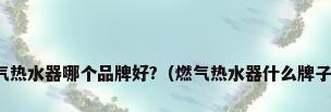 燃气热水器哪个品牌好?（燃气热水器什么牌子好）