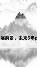 pvc管材的发展前景，未来5年pvc行业前景？