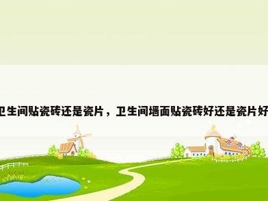 卫生间贴瓷砖还是瓷片，卫生间墙面贴瓷砖好还是瓷片好？