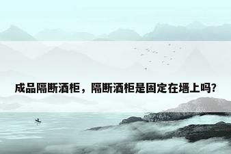 成品隔断酒柜，隔断酒柜是固定在墙上吗？