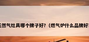 天然气灶具哪个牌子好?（燃气炉什么品牌好?）