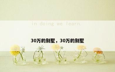 30万的别墅，30万的别墅