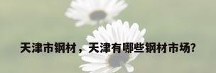 天津市钢材，天津有哪些钢材市场？