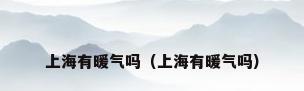 上海有暖气吗（上海有暖气吗）