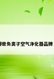 负离子空气净化器优点有哪些负离子空气净化器品牌（负离子空气净化器好吗?）