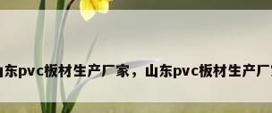 山东pvc板材生产厂家，山东pvc板材生产厂家