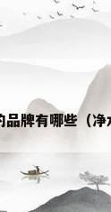 净水器厂家生产的品牌有哪些（净水器厂家有哪些?）
