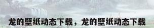 龙的壁纸动态下载，龙的壁纸动态下载