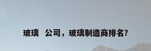 玻璃  公司，玻璃制造商排名？