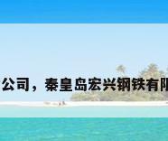 秦皇岛钢材公司，秦皇岛宏兴钢铁有限公司介绍？
