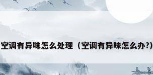 空调有异味怎么处理（空调有异味怎么办?）