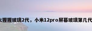 康宁大猩猩玻璃2代，小米12pro屏幕玻璃第几代康宁？