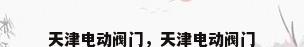 天津电动阀门，天津电动阀门
