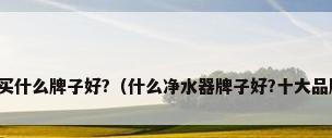 净水器买什么牌子好?（什么净水器牌子好?十大品牌推荐）