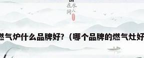 燃气炉什么品牌好?（哪个品牌的燃气灶好）