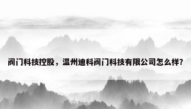 阀门科技控股，温州迪科阀门科技有限公司怎么样？