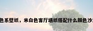 白色系壁纸，米白色客厅墙纸搭配什么颜色沙发？