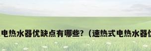 速热式电热水器优缺点有哪些?（速热式电热水器优缺点）