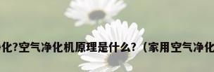 室内空气如何净化?空气净化机原理是什么?（家用空气净化器哪个牌子好?）