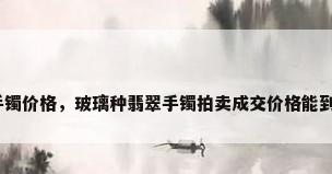 玻璃手镯价格，玻璃种翡翠手镯拍卖成交价格能到多少？