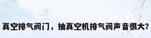 真空排气阀门，抽真空机排气阀声音很大？