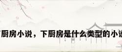 下厨房小说，下厨房是什么类型的小说？