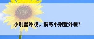 小别墅外观，描写小别墅外貌？